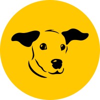 teddy dogs trust